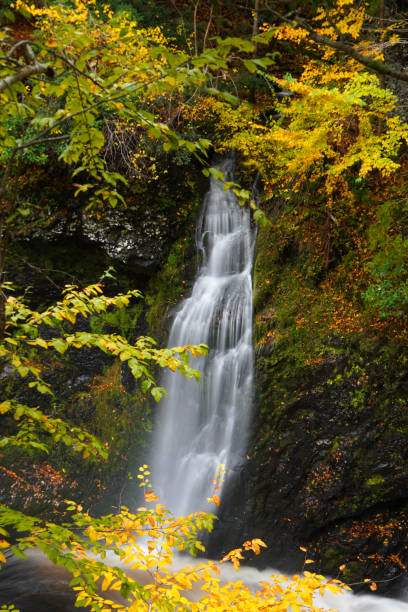 istock Waterfall in Delaware Water Gap park in the fall 1442576397