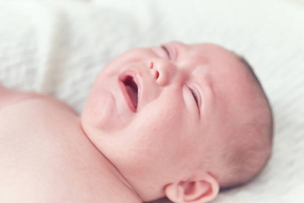 istock Close-up of baby 1442576545