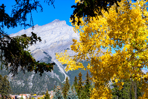 A view of the town of Banff looking toward Cascade Mountain with trees in the foreground in Autumn colors