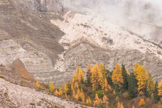 istock Focus on a stratificated dolomia area in the Dolomites 1442579590