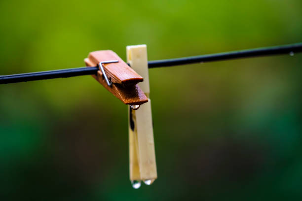 Clothespins at backyard after the rain