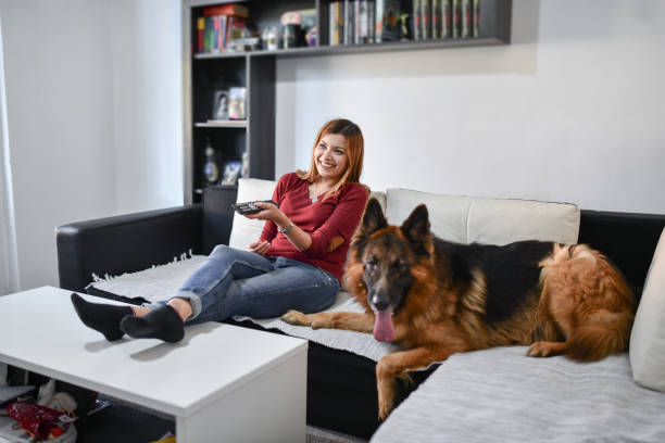 istock TV Time For Smiling Female And Her German Shepherd Dog 1442580813