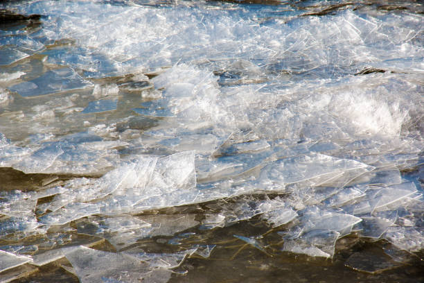 istock Icy river surface. Texture of ice covered with snow. Winter background. 1442580877