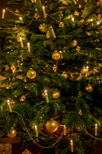 Part of a traditional Christmas tree with lights and golden decorations.