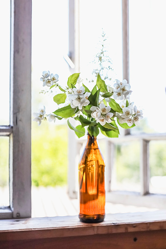 A bottle with blooming jasmine branches by the window in a rustic house.