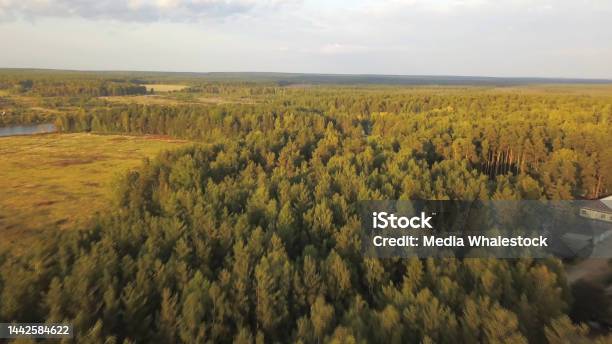 Aerial View Of Large Green Fields Forests And Road At The Sunset Against Blue Cloudy Sky In Summer Or In The Beggining Of The Autumn Stock Footage Beautiful Countryside Views Stock Photo - Download Image Now