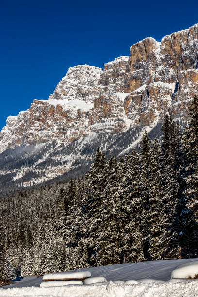 istock Castle Mountain Range from Castle Junction. Banff National Park, Alberta, Canada 1442585584