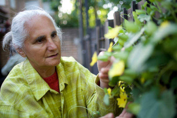 istock old lady enjoying her flowers 1442585882
