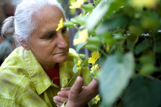 istock old lady enjoying her flowers 1442585935