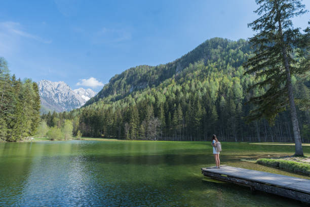 istock Young woman walks down lakeside dock, in the morning 1442586224