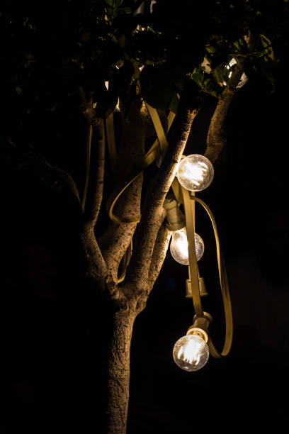 istock street tree decoration at Valletta, Malta 1442587580
