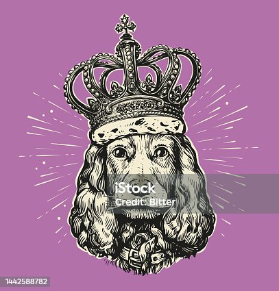 4,300+ King Queen Jack Stock Photos, Pictures & Royalty-Free Images -  iStock