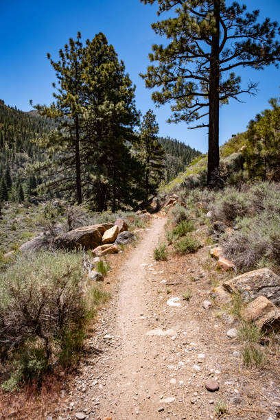 istock Views Along the Tahoe-Pyramid Trail 1442591997