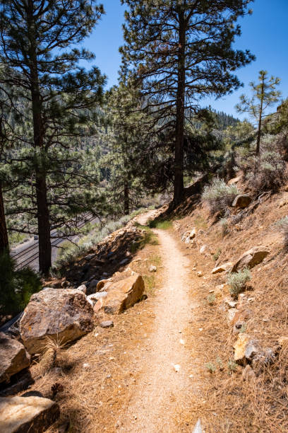 istock Views Along the Tahoe-Pyramid Trail 1442592054