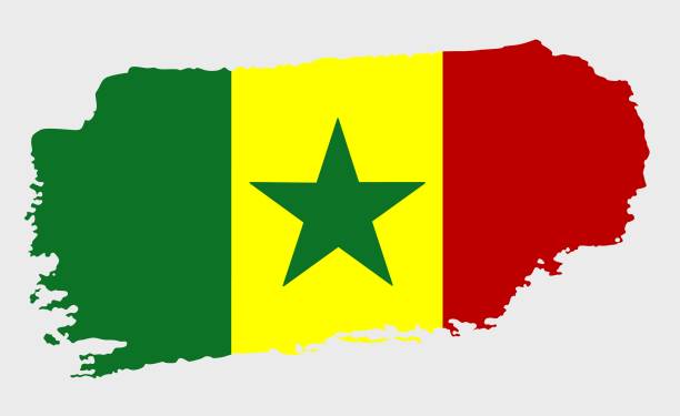 senegal-flagge mit grunge-textur im pinselstrich-stil. - senegal africa vector illustration and painting stock-grafiken, -clipart, -cartoons und -symbole