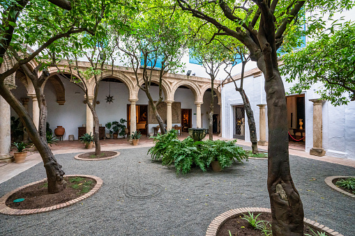 Cordoba, Spain - November 03, 2022: Courtyard garden of Viana Palace in Cordoba, Andalusia. Built in XV century. Viana Palace is a tourist attraction known for its 12 magnificent patios and gardens.