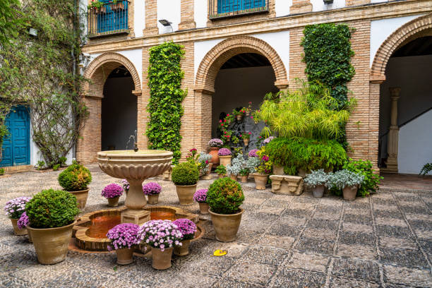 jardim do palácio de viana em córdoba, espanha - marquises - fotografias e filmes do acervo