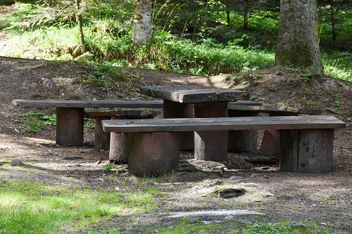 Picnic table in the forest