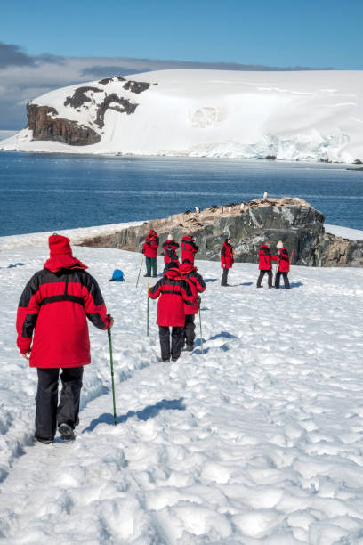 hiking in Antarctica stock photo