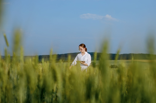 Laboratory-technician using digital tablet computer in a cultivated wheat field, application of modern technologies in agricultural activity.