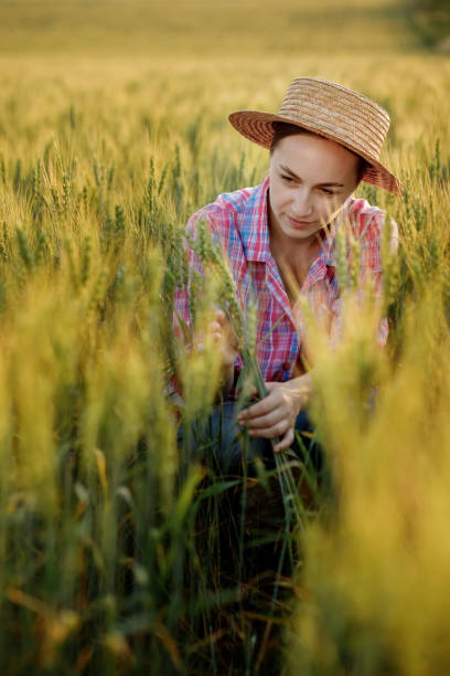 istock A young farmer sits in the ears of wheat and analyzes here growth 1442605919
