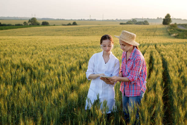 istock Young female lab technician in white coat and female farmer checking harvest progress on tablet in green wheat field. A new crop of wheat is growing. Agriculture and farm concept 1442606110