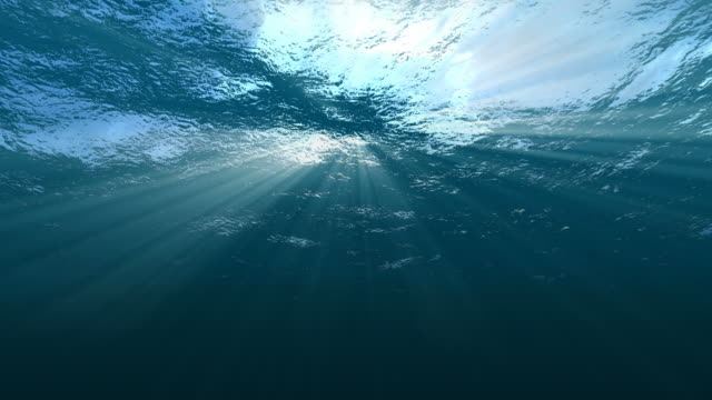 Underwater Sea Surface Looping