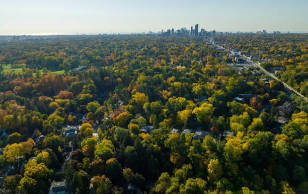 istock Toronto In Autumn, with downtown Toronto in the background 1442609357