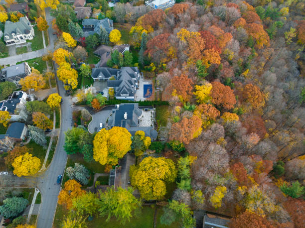 istock Toronto In Autumn, with downtown Toronto in the background 1442609459
