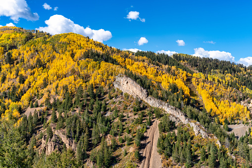 Autumn leaf colors in Aspen, Colorado