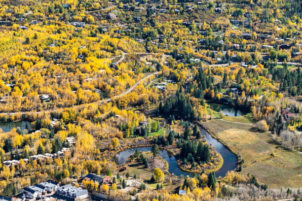 istock Autumn colors in Aspen, Colorado 1442612689