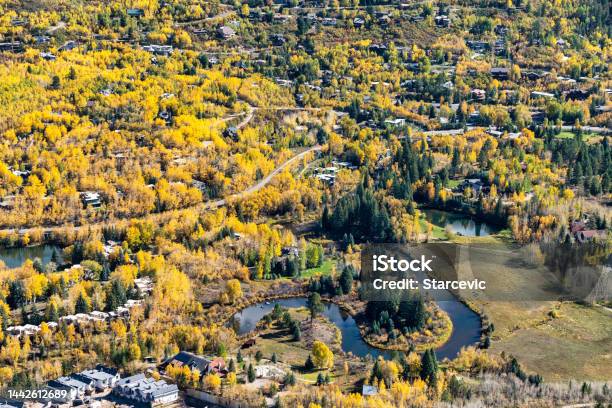 Autumn Colors In Aspen Colorado Stock Photo - Download Image Now - Aspen - Colorado, Aspen Leaf, Aspen Tree