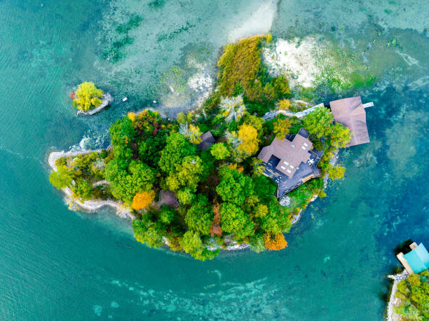 istock Small islands, trees-Thousand Islands 1442615279
