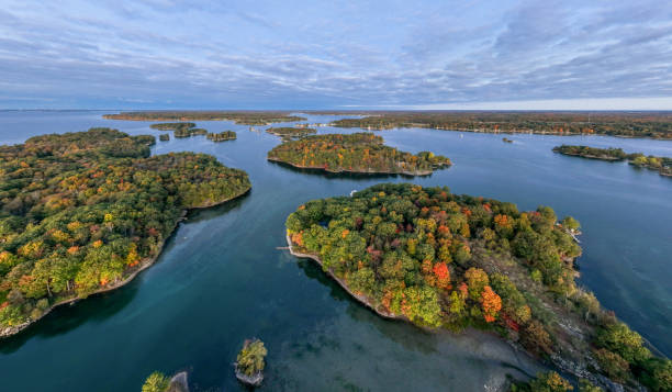 istock Small islands, trees-Thousand Islands 1442615294