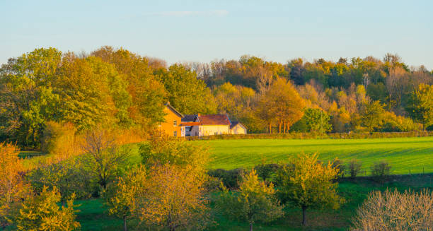 istock Fields and trees in a green hilly grassy landscape under a blue sky in sunlight at sunrise in autumn 1442616207