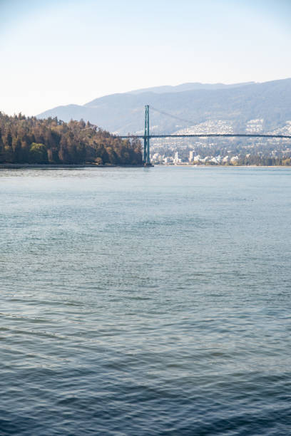 istock Lions Gate Bridge - From Stanley Park 1442617791