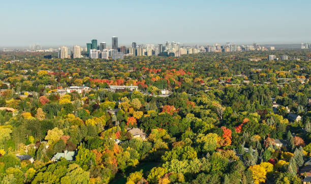 istock Autumn in Toronto, downtown in the background 1442620225