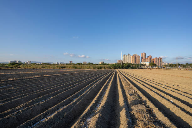 Cultivated land not yet planted under the blue sky