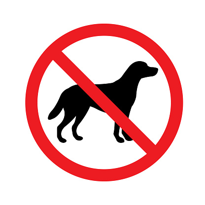Vector flat no dog sign isolated on white background