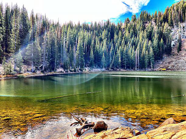 Natural background, woodland landscape reflecting on clear water Lake in early morning. Bloods Lake, Midway, Utah, USA.