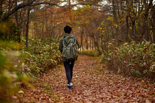 istock Japanese man enjoying hiking 1442631040