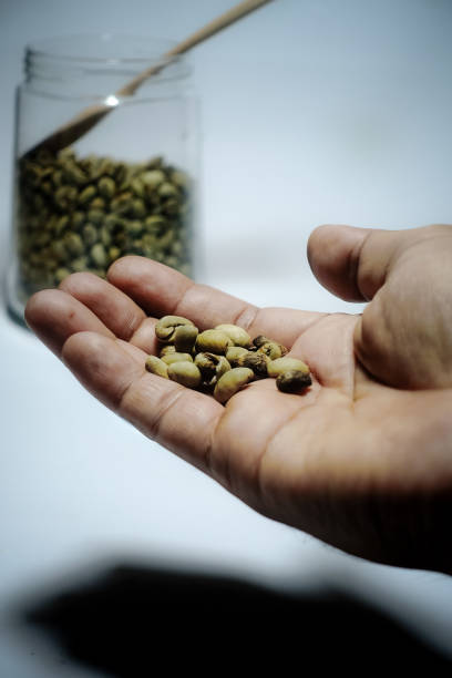 istock Mens hand holding bunch of coffee beans. 1442634601