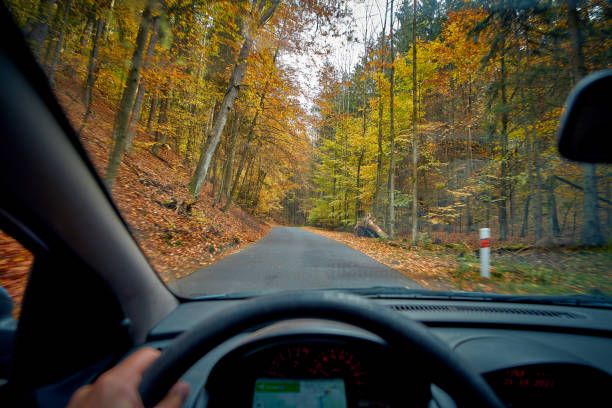 istock driving a car in the autumn forest 1442643585