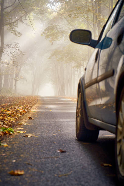 istock Car on the road in nature autumn 1442643601