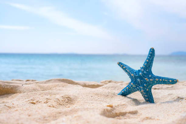Starfish on sandy beaches and stunning blue sea waves on the Andaman Islands. stock photo