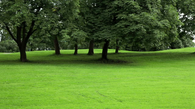 Park with green lawn.
