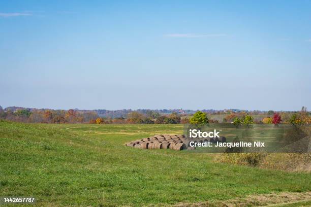 Hay Bales In Open Field Stock Photo - Download Image Now - Agricultural Field, Agriculture, Autumn