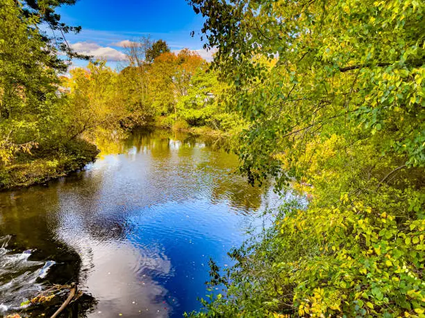 Photo of Fall Colors