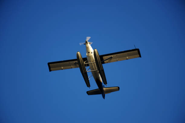 istock Seaplane on a clear blue sky - low angle view 1442662381