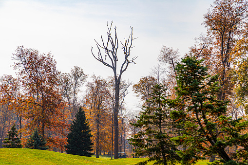 Fall Color Foliage Hits The Northeast U.S.